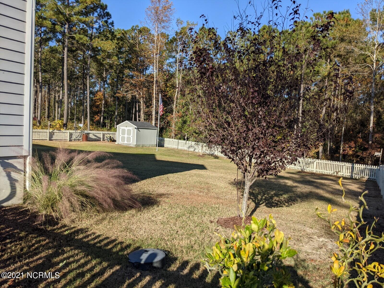 311 Livingston Court Holly Ridge, NC 28445 - Photo 28 of 30 Backyard from Right Side