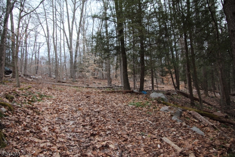 0 Mt Benevolence Road Newton, NJ 07860 - Photo 11 of 13 a view of a backyard with large trees