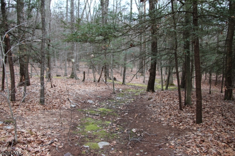 0 Mt Benevolence Road Newton, NJ 07860 - Photo 3 of 13 a view of house with trees in the background
