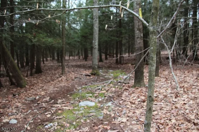 a view of a wooden house with a yard