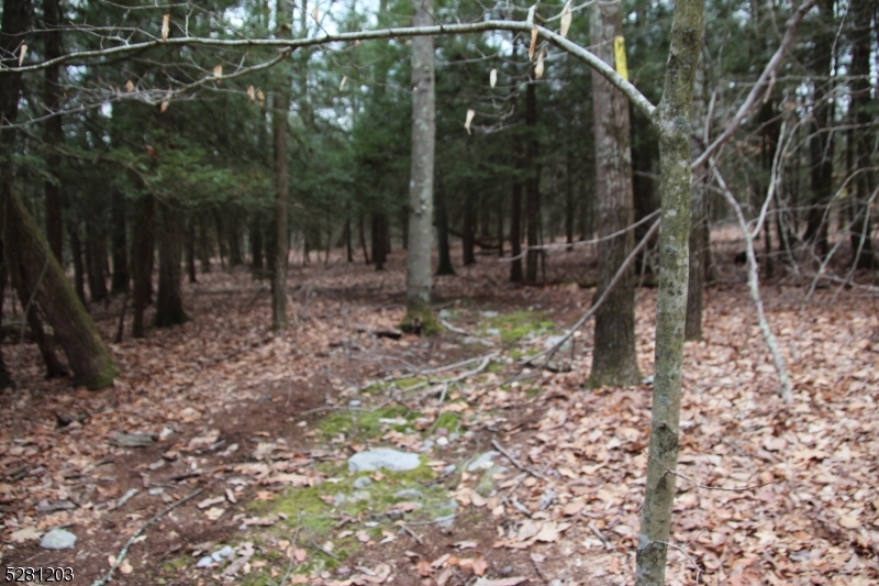 0 Mt Benevolence Road Newton, NJ 07860 - Photo 4 of 13 a view of a wooden house with a yard
