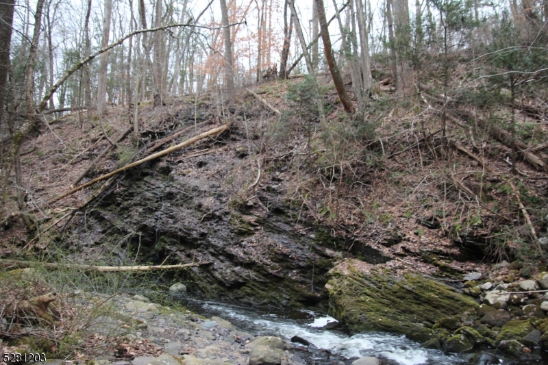 0 Mt Benevolence Road Newton, NJ 07860 - Photo 7 of 13 a view of a yard with lots of bushes