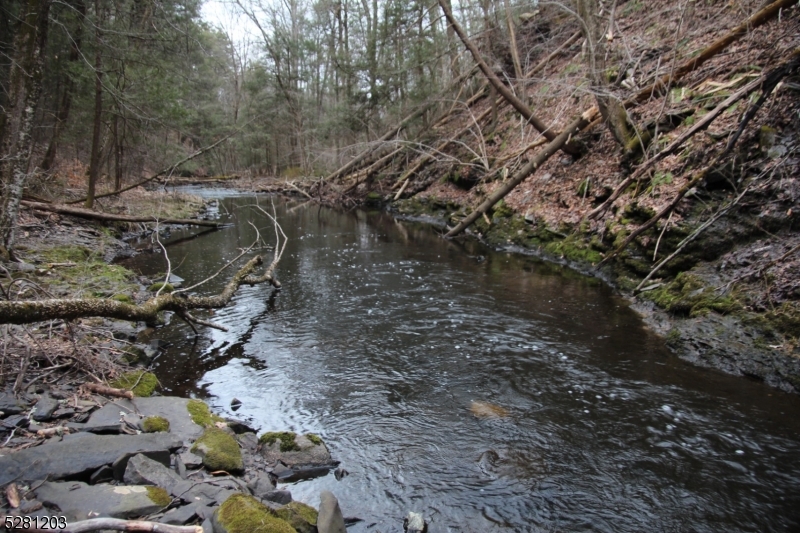 0 Mt Benevolence Road Newton, NJ 07860 - Photo 8 of 13 a view of a forest with a tree