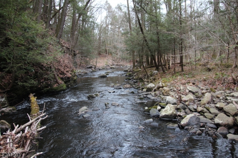 0 Mt Benevolence Road Newton, NJ 07860 - Photo 10 of 13 a view of a forest with trees