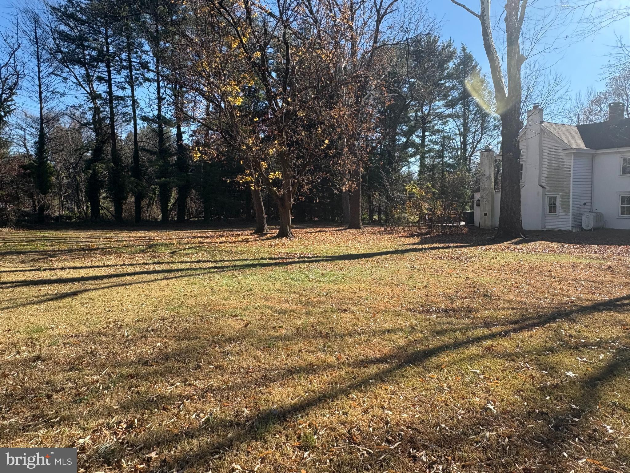 1304 Second Street Pike Richboro, PA 18954 - Photo 10 of 10 a view of yard with trees