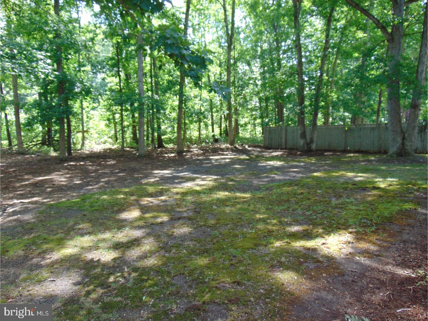 308 Balsam Road Williamstown, NJ 08094 - Photo 19 of 19 Exterior Back