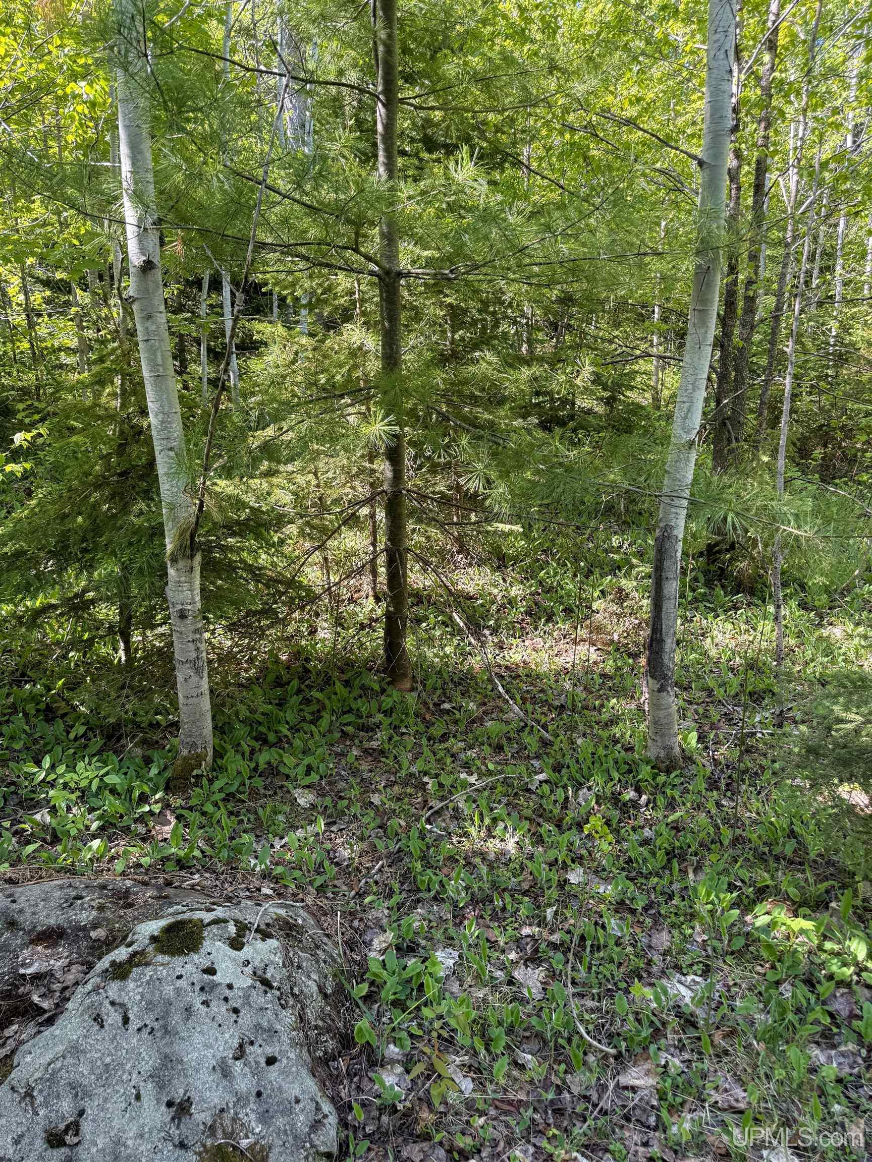 Lot A Gratiot River Road Calumet, MI 49913 - Photo 20 of 35