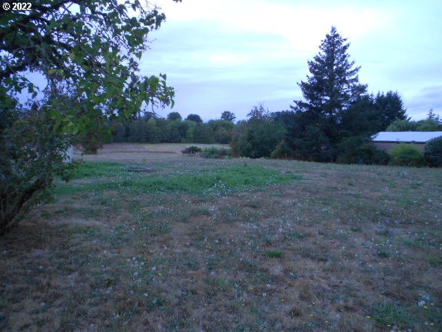 5355 Southwest River Road Hillsboro, OR 97123 - Photo 2 of 24 a view of outdoor space with trees all around