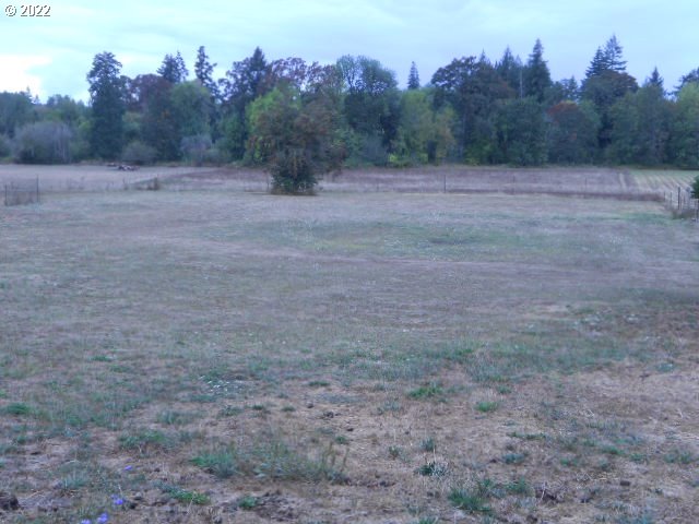 5355 Southwest River Road Hillsboro, OR 97123 - Photo 7 of 24 a view of an outdoor space with trees all around