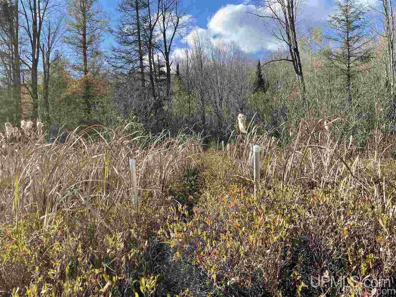 Tbd Ridgeview Road, Unit LOTS 34 & 35 Iron River, MI 49935 - Photo 3 of 45 Gallery Image 3