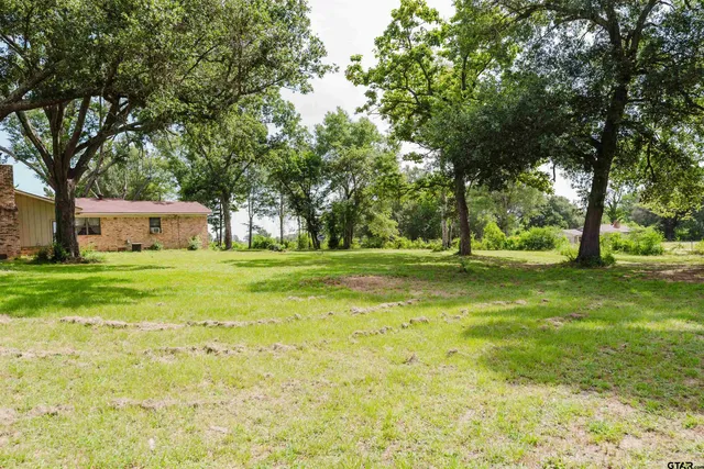 a view of a tree in a yard