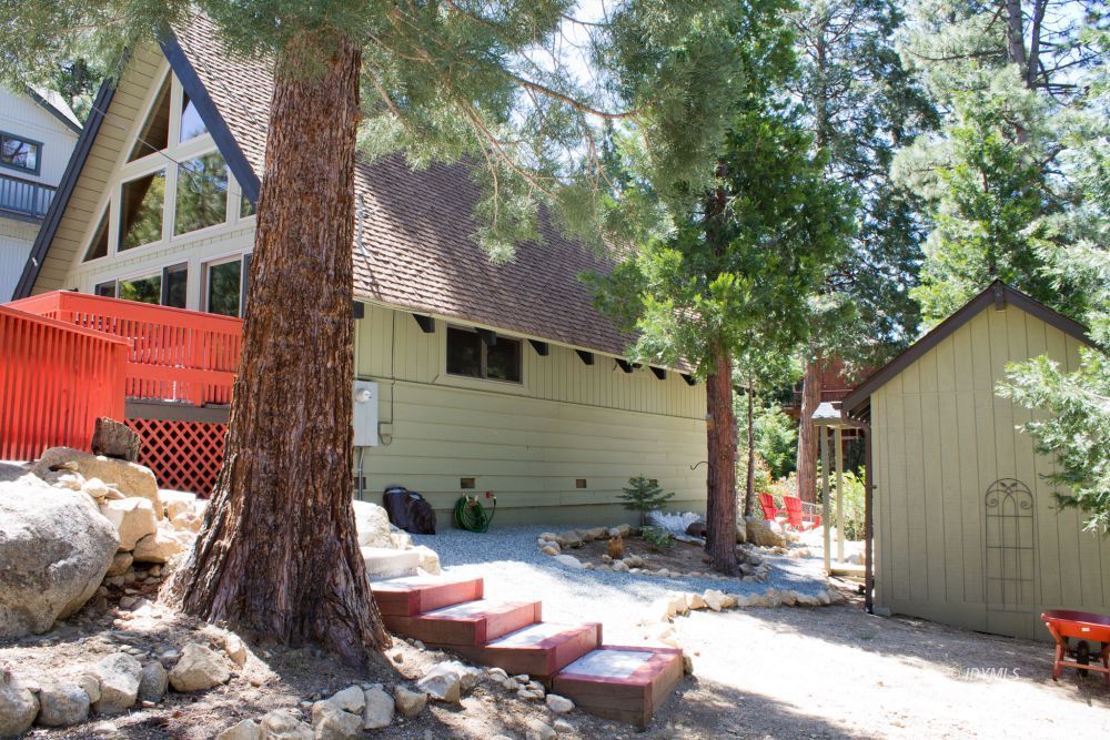 55425 Howland Road Idyllwild, CA 92549 - Photo 16 of 17 a view of backyard with a tree