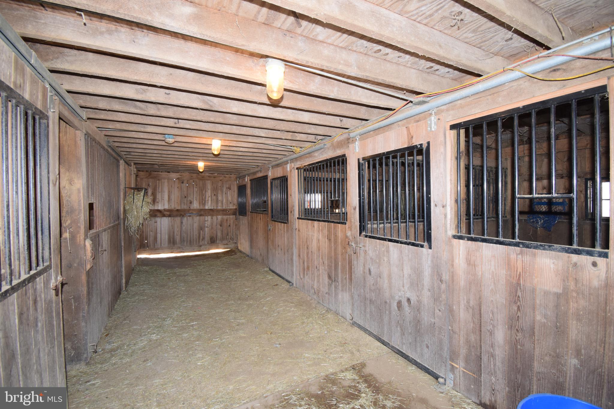 87 Half Mile Turn, Unit TURN Rising Sun, MD 21911 - Photo 7 of 33 Stalls for the horses