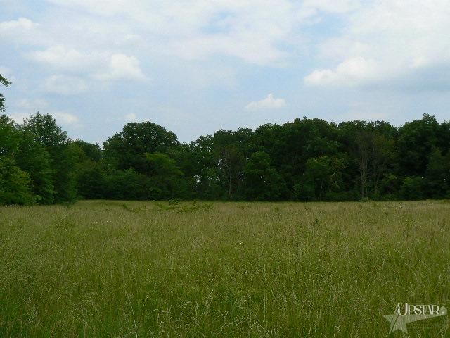 6510 Schlatter Road Leo, IN 46765 - Photo 17 of 20