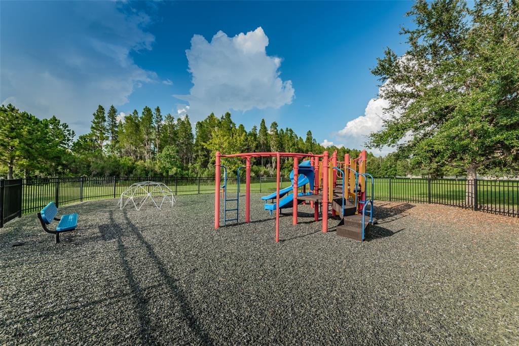 1345 Halapa Way Trinity, FL 34655 - Photo 89 of 93