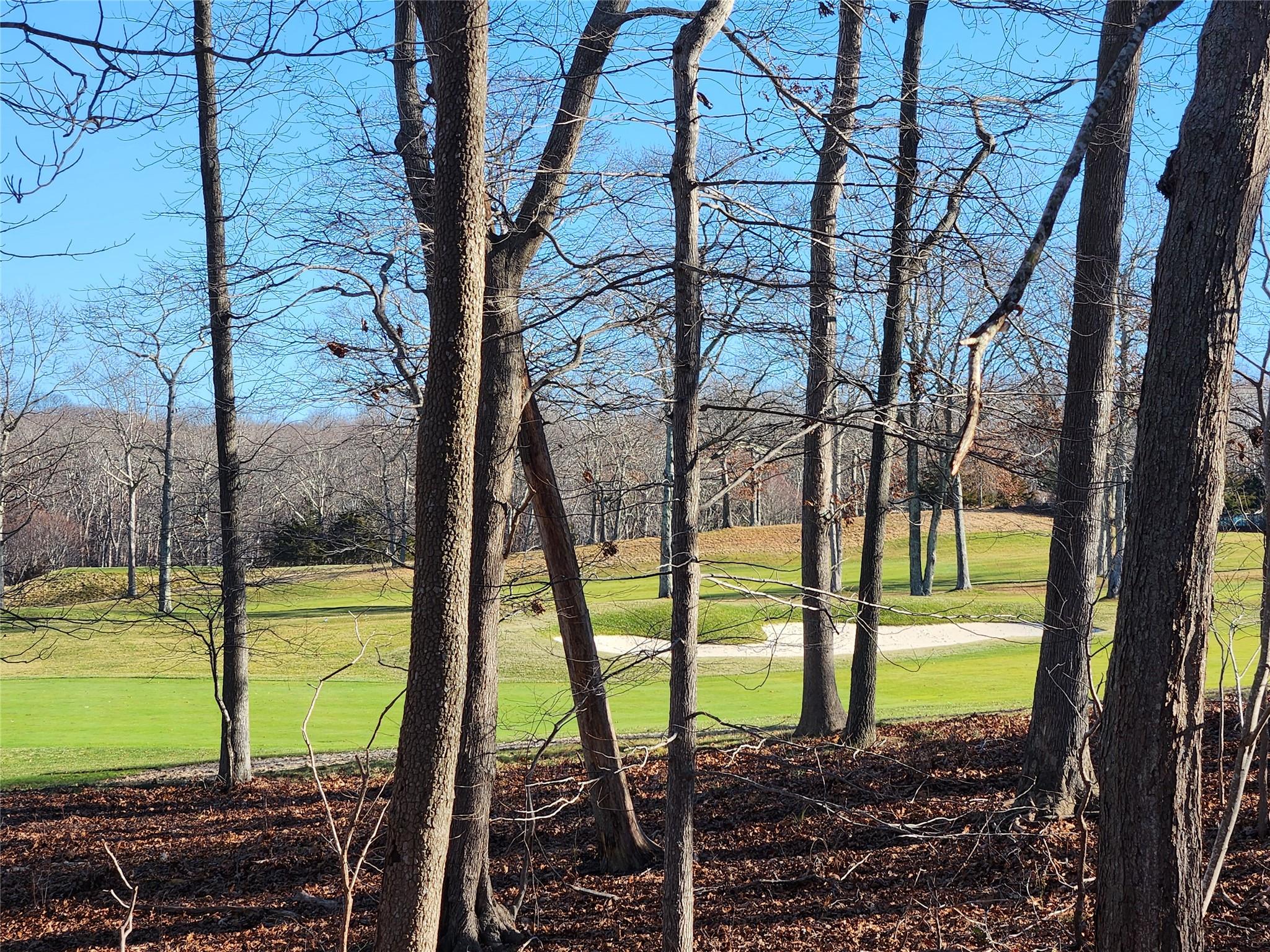 Ground level view of the Golf Course