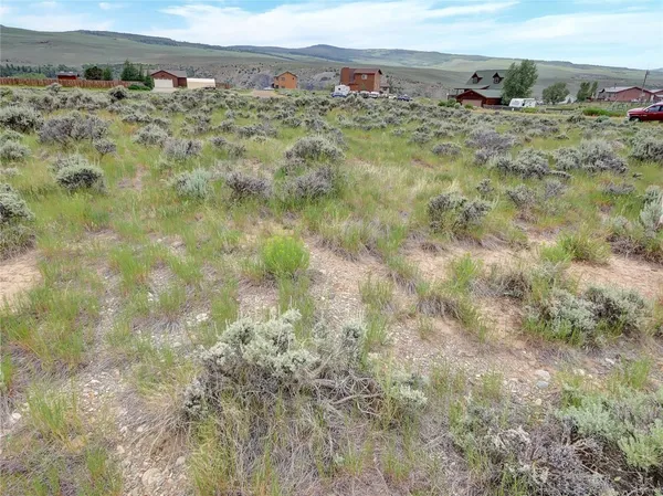a view of a big yard with lots of bushes