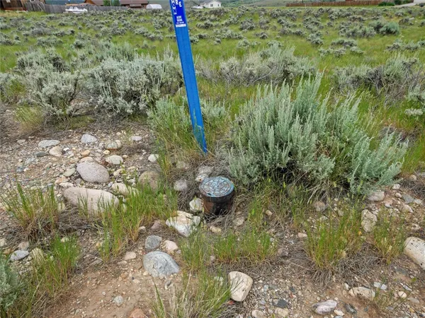 a view of a water fountain in a yard