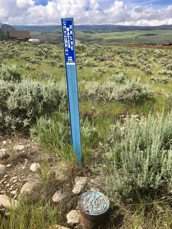 a view of a water fountain from a yard