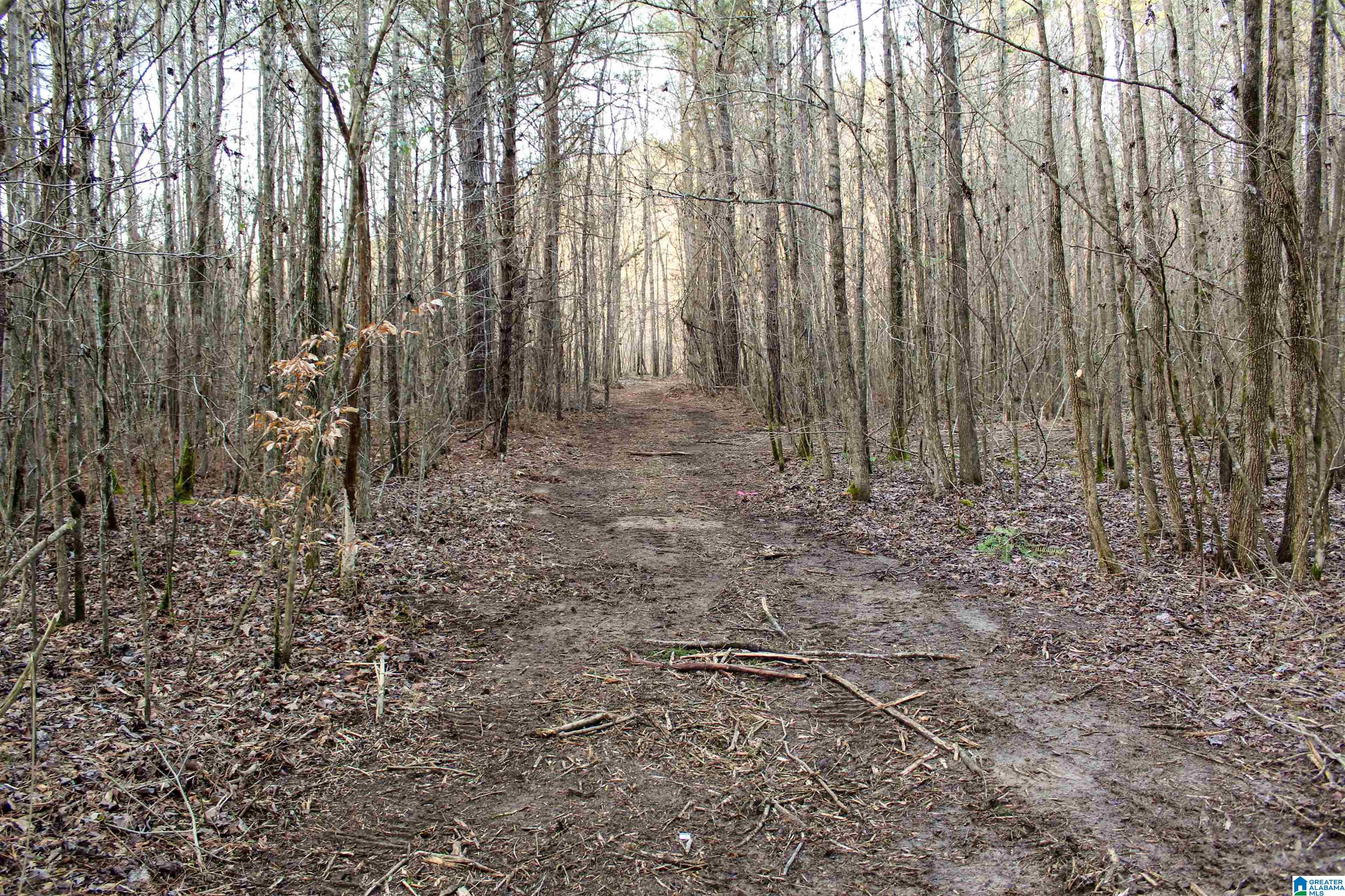 0 Parsons Loop Road Mulga, AL 35118 - Photo 16 of 38