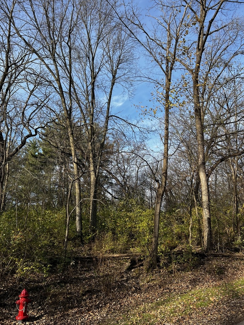 107 Maple Lane Dixon, IL 61021 - Photo 3 of 3