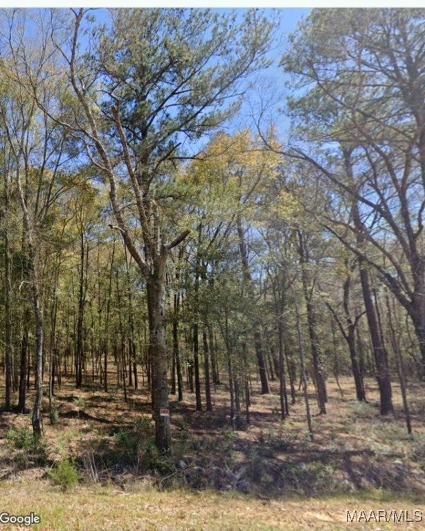 0 Ferrell Road Andalusia, AL 36421 - Photo 1 of 2 Gallery Image 1