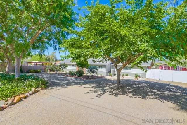 a view of a tree in front of a house