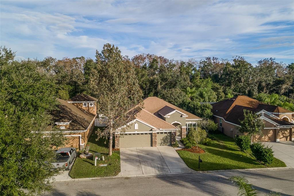 11139 Ragsdale Court New Port Richey, FL 34654 - Photo 1 of 1