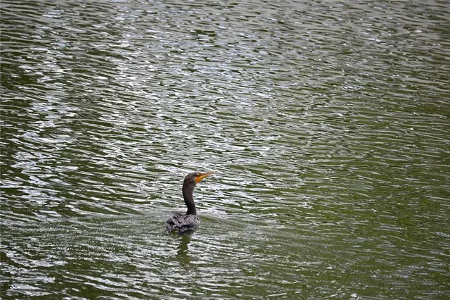 a view of a lake with houses