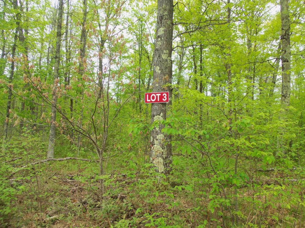 Lot 3 Haddick Road Springbrook, WI 54875 - Photo 1 of 1