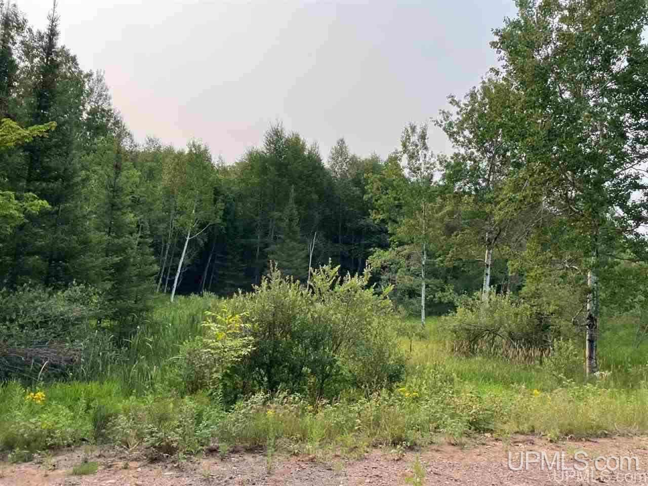 Tbd Tbd Corner Negaunee, MI 49866 - Photo 15 of 22 Gallery Image 15