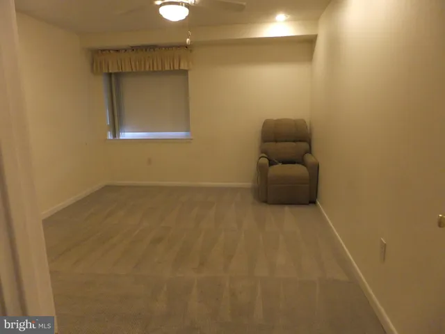 a view of a backyard with plants and a fountain