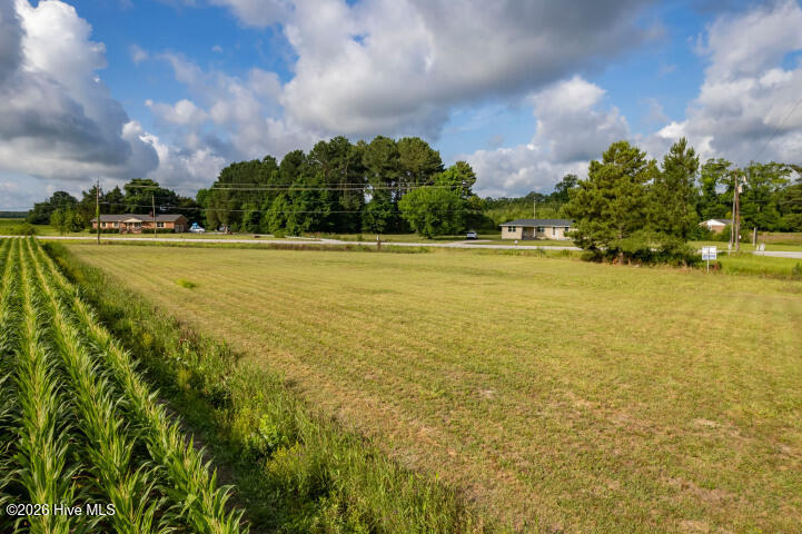 0 Alligator Loop Road Merritt, NC 28556 - Photo 12 of 12