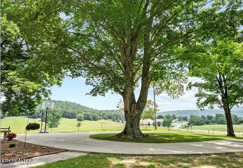 1364 Country Club Road Sparta, TN 38583 - Photo 43 of 60 Gallery Image 43