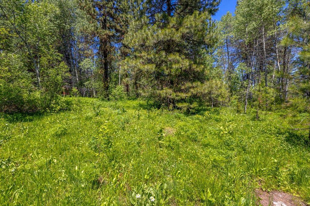 1125 Meadows Road McCall, ID 83638 - Photo 9 of 33