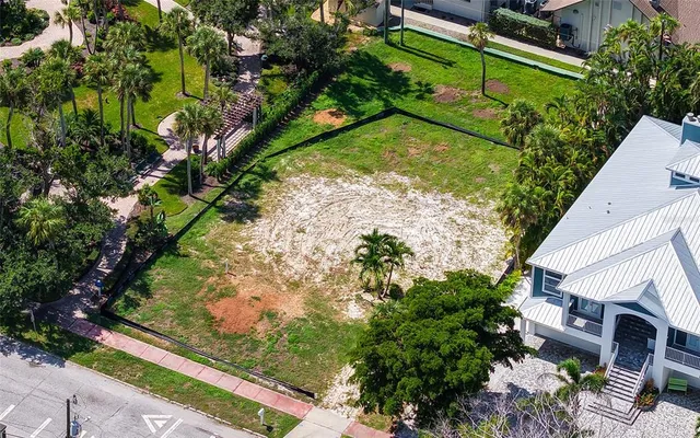a view of a yard with plants