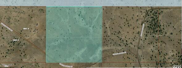 Parcel# Parcel Williams, AZ 86046 - Photo 2 of 2 More Pictures to come