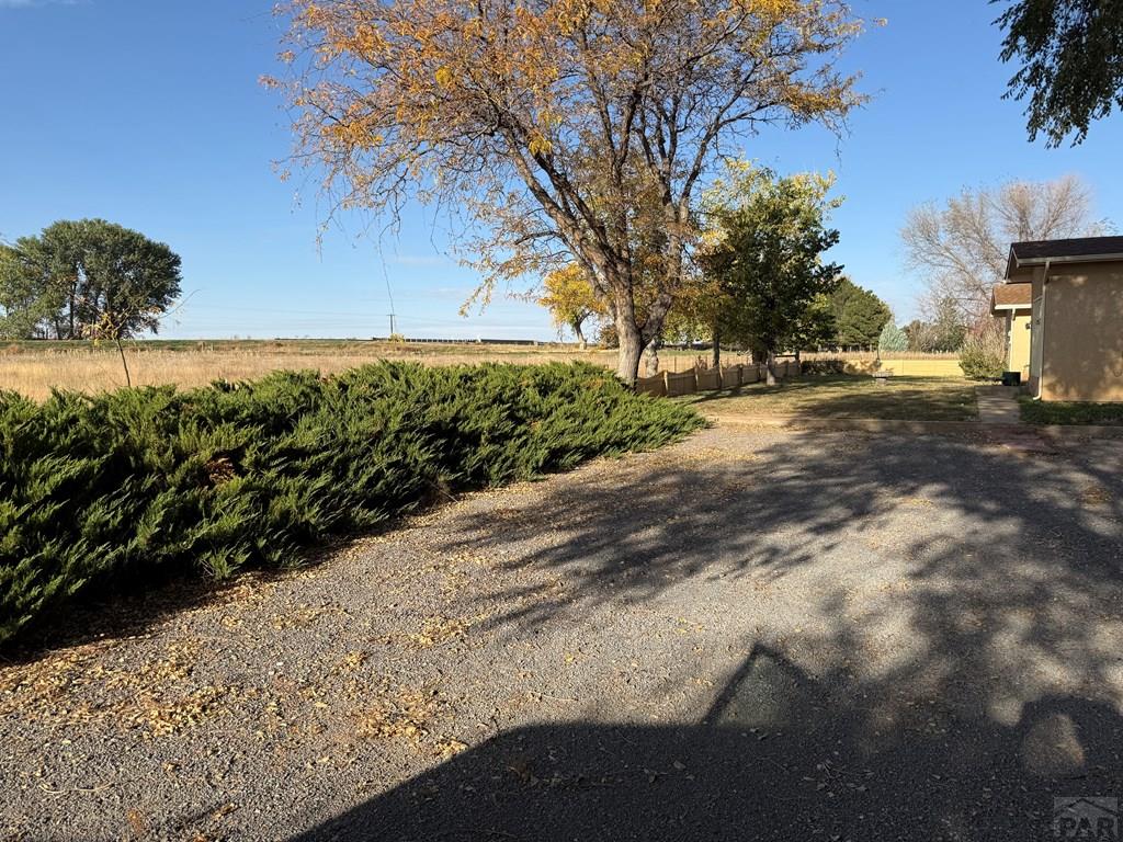 65281 Highway 50 Fowler, CO 81039 - Photo 2 of 16 a view of a yard with plants and trees