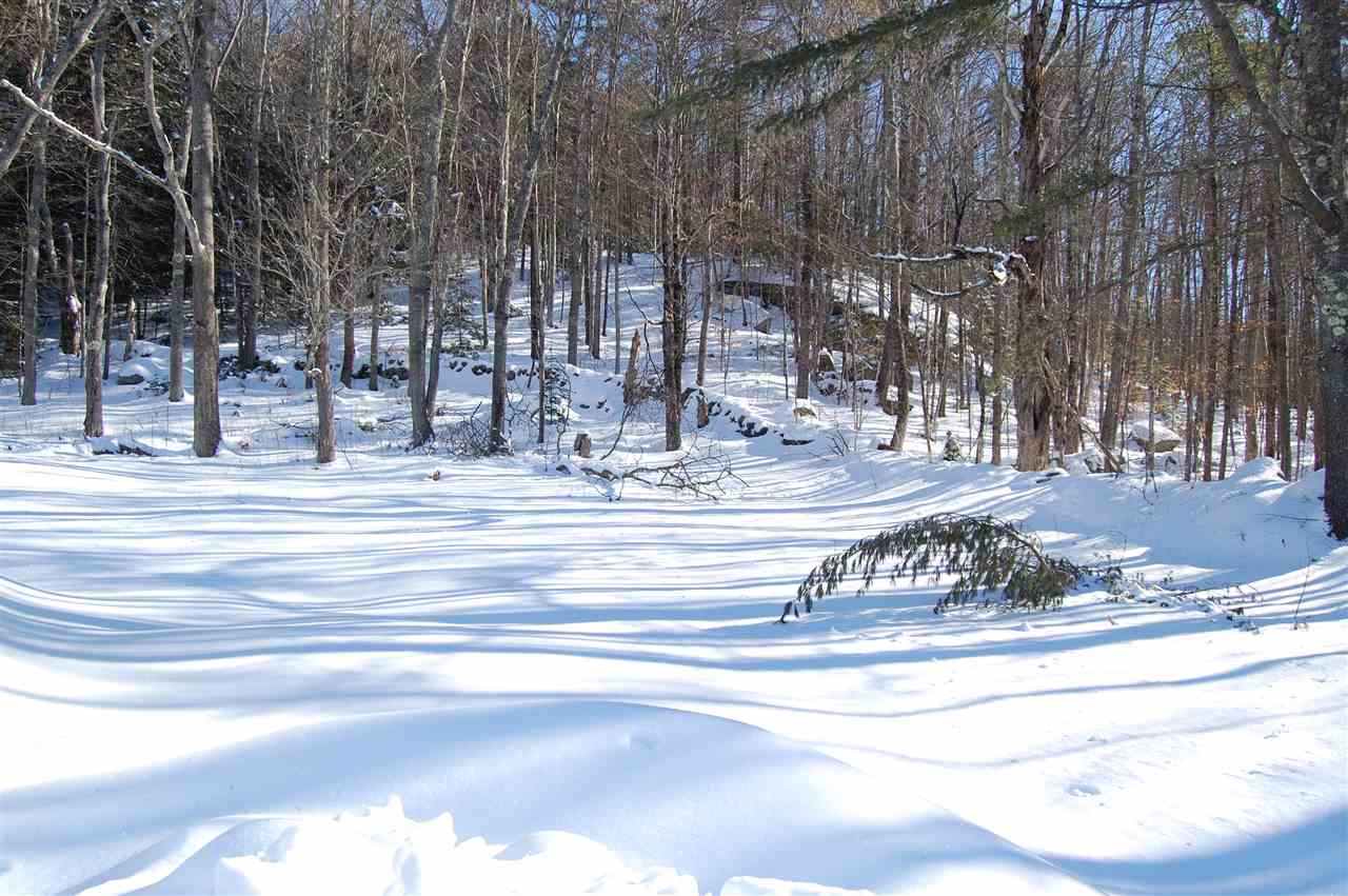 180 Turnpike Road Grafton, NH 03240 - Photo 18 of 27
