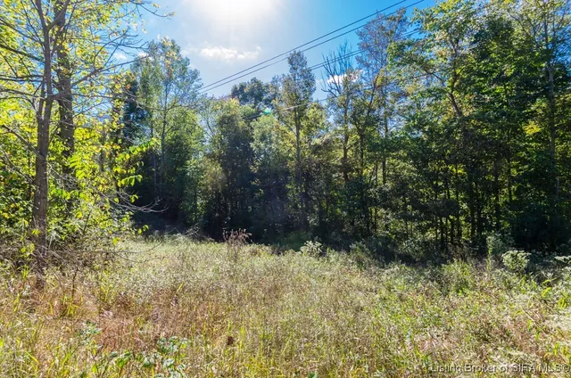 $80,000 | 0 State Road 135 West Side Road, Pekin, IN 47165