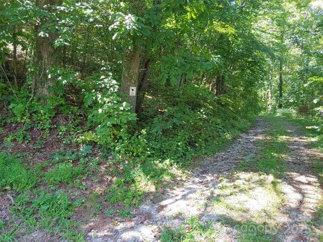 $39,000 | 0 Thomasville Lane, Gerton, NC 28735