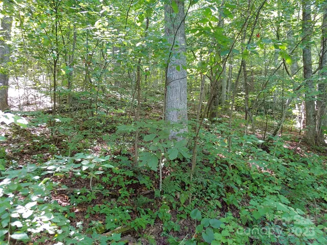 $39,000 | 0 Thomasville Lane, Gerton, NC 28735