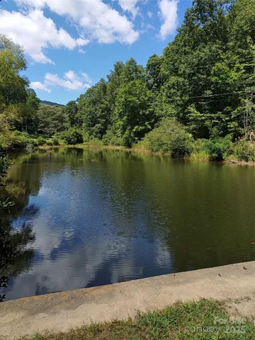 $39,000 | 0 Thomasville Lane, Gerton, NC 28735