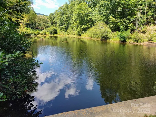 $39,000 | 0 Thomasville Lane, Gerton, NC 28735