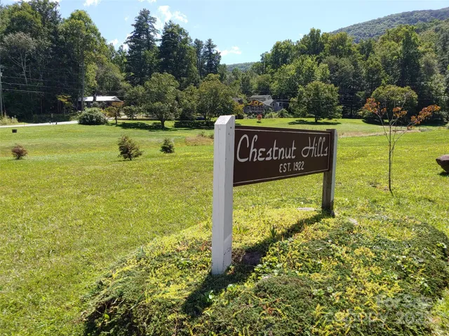 $39,000 | 0 Thomasville Lane, Gerton, NC 28735