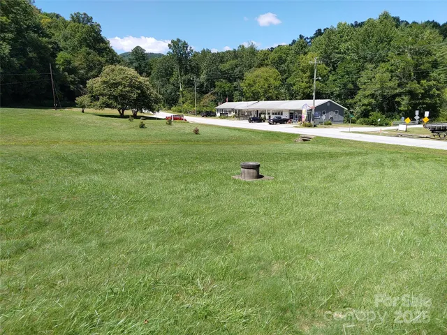 $39,000 | 0 Thomasville Lane, Gerton, NC 28735