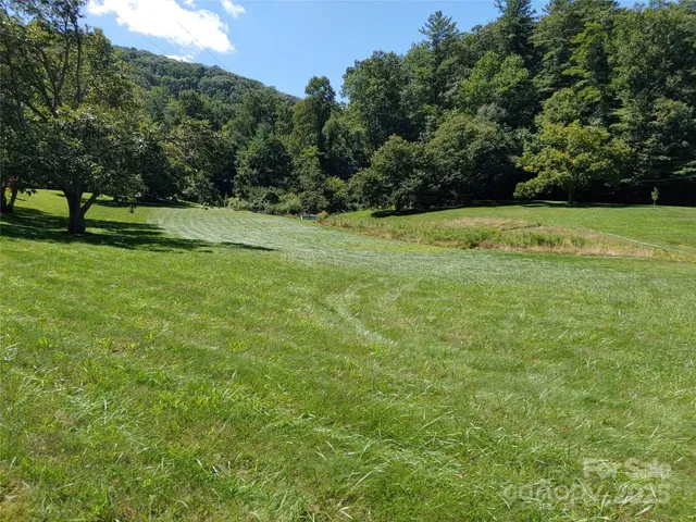 $39,000 | 0 Thomasville Lane, Gerton, NC 28735