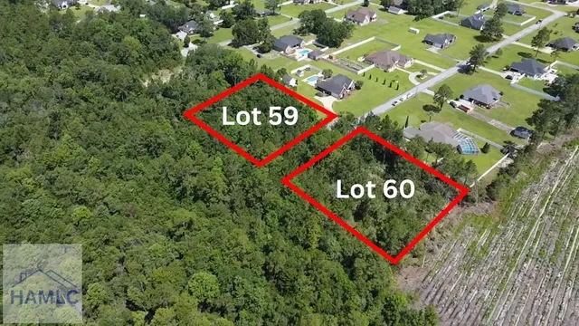 $50,000 | 113 Vixenhill Drive, Jesup, GA 31546