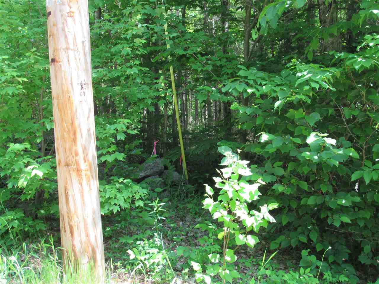Lockehaven Road Enfield, NH 03748 - Photo 4 of 4