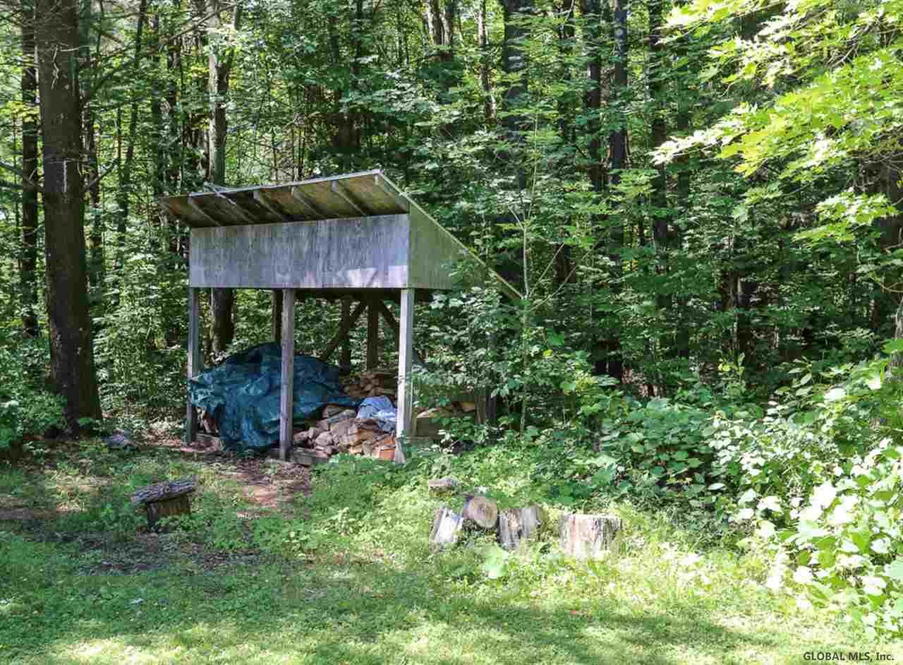 2492 Mudge Road Delanson, NY 12053 - Photo 18 of 23 Photo 18